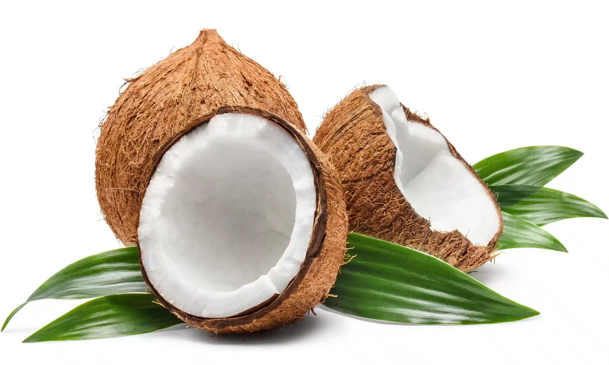 What is the health benefit of eating coconut?