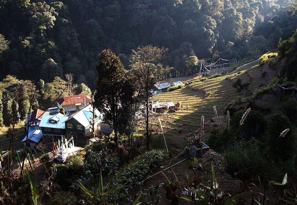 Tired of the noise of the city, Go visit the beautiful Srikhola, all fatigue will disappear