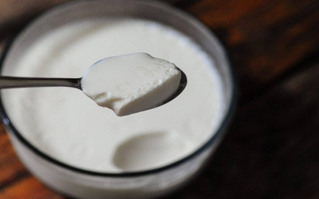 Yogurt pairs well to keep the body healthy