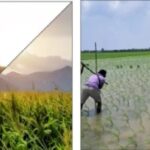 Provivi and Godrej Agrovet launch sustainable pest control solutions for Indian farmers