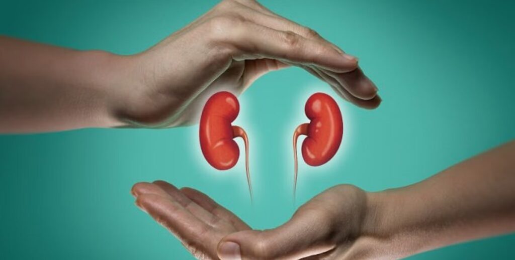 Revolutionary non-invasive test detects early kidney problems