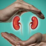 Revolutionary non-invasive test detects early kidney problems