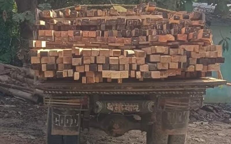 The Rani forest department in Assam confiscated a truck carrying illegal timber