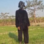 Indian Farmers Don Bear Costumes to Deter Crop-Raiding Monkeys