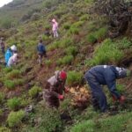 Sikkim’s Tsomgo Lake gets 50,000 new trees for sustainability