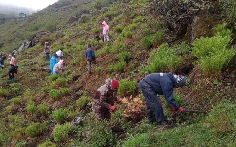 Sikkim’s Tsomgo Lake gets 50,000 new trees for sustainability