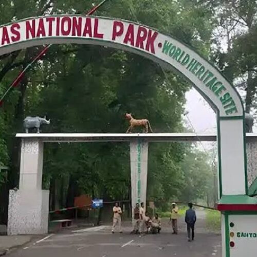 Assam: Manas National Park officials imparted training on latest amendments in laws