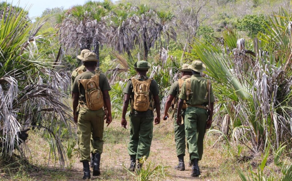 Kenya Launches Wildlife Protection Campaign