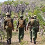 Kenya Launches Wildlife Protection Campaign