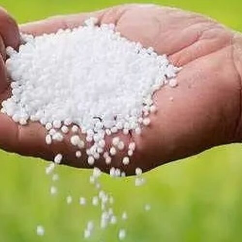 In Assam, new urea plant will increase farmers’ access to Fertilizer