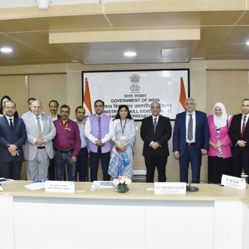India, Egypt deepen strategic ties through skill development collaboration