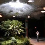 New York Unveils Ambitious Underground Park Project