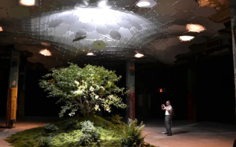 New York Unveils Ambitious Underground Park Project