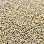 Guarseed futures prices upsurge on spot demand