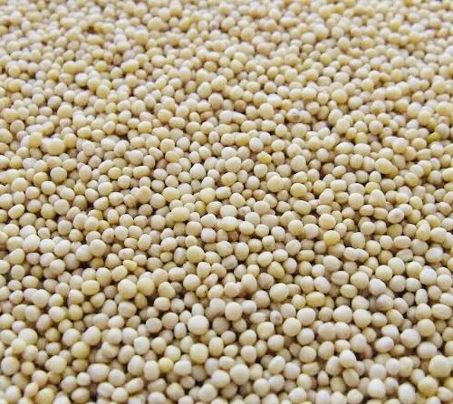 Guarseed futures prices upsurge on spot demand