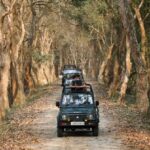 Due to bad weather, the Jeep Safari in Kaziranga will be suspended starting on May 19