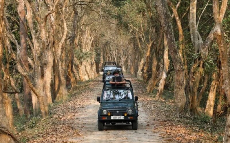 Due to bad weather, the Jeep Safari in Kaziranga will be suspended starting on May 19