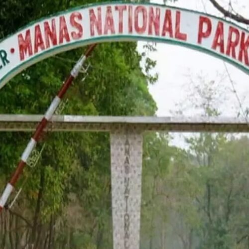 Assam Minister Ranjeet Kumar Dass proposes the idea of keeping Manas National Park open throughout the year