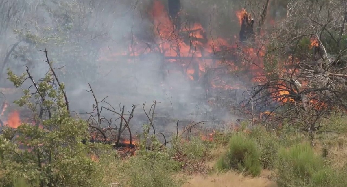 California Declares State of Emergency Amidst Record Wildfires - The ...